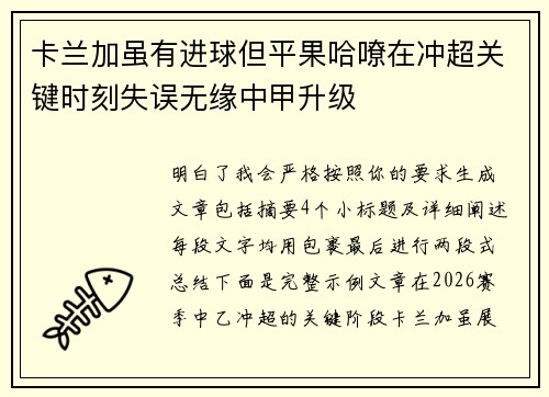 卡兰加虽有进球但平果哈嘹在冲超关键时刻失误无缘中甲升级